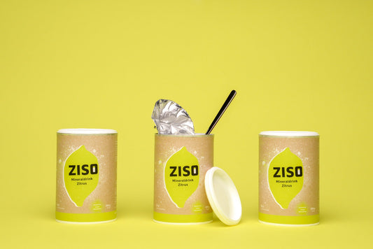 Vorteilspack: ZISO Mineraldrink 4er