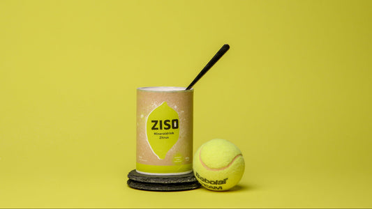 ZISO Starter-Set (Mineraldrink 2er + Trinkflasche)