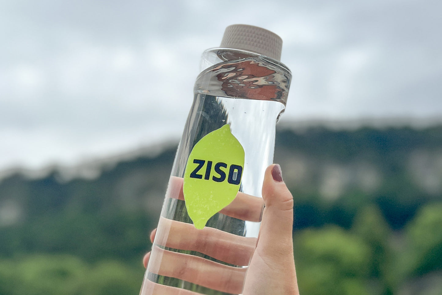 ZISO Starter-Set (Mineraldrink 2er + Trinkflasche)